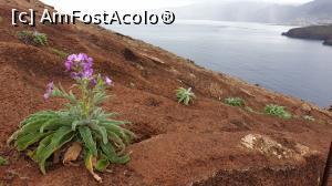 [P12] floricele de iarnă » foto by cristian pinte
 - 
<span class="allrVoted glyphicon glyphicon-heart hidden" id="av1203305"></span>
<a class="m-l-10 hidden" id="sv1203305" onclick="voting_Foto_DelVot(,1203305,4289)" role="button">șterge vot <span class="glyphicon glyphicon-remove"></span></a>
<a id="v91203305" class=" c-red"  onclick="voting_Foto_SetVot(1203305)" role="button"><span class="glyphicon glyphicon-heart-empty"></span> <b>LIKE</b> = Votează poza</a> <img class="hidden"  id="f1203305W9" src="/imagini/loader.gif" border="0" /><span class="AjErrMes hidden" id="e1203305ErM"></span>