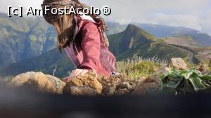 [P16] panorame faine pe marginea drumului » foto by cristian pinte
 - 
<span class="allrVoted glyphicon glyphicon-heart hidden" id="av1203309"></span>
<a class="m-l-10 hidden" id="sv1203309" onclick="voting_Foto_DelVot(,1203309,4289)" role="button">șterge vot <span class="glyphicon glyphicon-remove"></span></a>
<a id="v91203309" class=" c-red"  onclick="voting_Foto_SetVot(1203309)" role="button"><span class="glyphicon glyphicon-heart-empty"></span> <b>LIKE</b> = Votează poza</a> <img class="hidden"  id="f1203309W9" src="/imagini/loader.gif" border="0" /><span class="AjErrMes hidden" id="e1203309ErM"></span>