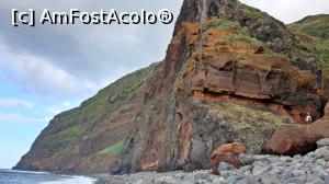 [P18] st&acirc;nchile de la Achadas » foto by cristian pinte
 - 
<span class="allrVoted glyphicon glyphicon-heart hidden" id="av1203311"></span>
<a class="m-l-10 hidden" id="sv1203311" onclick="voting_Foto_DelVot(,1203311,4289)" role="button">șterge vot <span class="glyphicon glyphicon-remove"></span></a>
<a id="v91203311" class=" c-red"  onclick="voting_Foto_SetVot(1203311)" role="button"><span class="glyphicon glyphicon-heart-empty"></span> <b>LIKE</b> = Votează poza</a> <img class="hidden"  id="f1203311W9" src="/imagini/loader.gif" border="0" /><span class="AjErrMes hidden" id="e1203311ErM"></span>