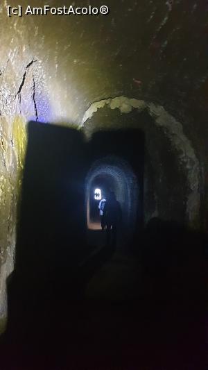 [P25] O lanternă e utilă » foto by cristian pinte
 - 
<span class="allrVoted glyphicon glyphicon-heart hidden" id="av1203318"></span>
<a class="m-l-10 hidden" id="sv1203318" onclick="voting_Foto_DelVot(,1203318,4289)" role="button">șterge vot <span class="glyphicon glyphicon-remove"></span></a>
<a id="v91203318" class=" c-red"  onclick="voting_Foto_SetVot(1203318)" role="button"><span class="glyphicon glyphicon-heart-empty"></span> <b>LIKE</b> = Votează poza</a> <img class="hidden"  id="f1203318W9" src="/imagini/loader.gif" border="0" /><span class="AjErrMes hidden" id="e1203318ErM"></span>