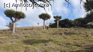 [P05] &icirc;n drum către parcarea peninsula Sf&icirc;ntu Laurențiu » foto by cristian pinte
 - 
<span class="allrVoted glyphicon glyphicon-heart hidden" id="av1203298"></span>
<a class="m-l-10 hidden" id="sv1203298" onclick="voting_Foto_DelVot(,1203298,4289)" role="button">șterge vot <span class="glyphicon glyphicon-remove"></span></a>
<a id="v91203298" class=" c-red"  onclick="voting_Foto_SetVot(1203298)" role="button"><span class="glyphicon glyphicon-heart-empty"></span> <b>LIKE</b> = Votează poza</a> <img class="hidden"  id="f1203298W9" src="/imagini/loader.gif" border="0" /><span class="AjErrMes hidden" id="e1203298ErM"></span>