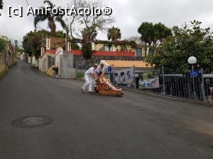 [P10] Cu săniuțele din Madeira - la final » foto by nicole33
 - 
<span class="allrVoted glyphicon glyphicon-heart hidden" id="av1322114"></span>
<a class="m-l-10 hidden" id="sv1322114" onclick="voting_Foto_DelVot(,1322114,4289)" role="button">șterge vot <span class="glyphicon glyphicon-remove"></span></a>
<a id="v91322114" class=" c-red"  onclick="voting_Foto_SetVot(1322114)" role="button"><span class="glyphicon glyphicon-heart-empty"></span> <b>LIKE</b> = Votează poza</a> <img class="hidden"  id="f1322114W9" src="/imagini/loader.gif" border="0" /><span class="AjErrMes hidden" id="e1322114ErM"></span>