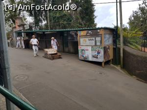 [P04] Cu săniuțele din Madeira - la plecare » foto by nicole33
 - 
<span class="allrVoted glyphicon glyphicon-heart hidden" id="av1322108"></span>
<a class="m-l-10 hidden" id="sv1322108" onclick="voting_Foto_DelVot(,1322108,4289)" role="button">șterge vot <span class="glyphicon glyphicon-remove"></span></a>
<a id="v91322108" class=" c-red"  onclick="voting_Foto_SetVot(1322108)" role="button"><span class="glyphicon glyphicon-heart-empty"></span> <b>LIKE</b> = Votează poza</a> <img class="hidden"  id="f1322108W9" src="/imagini/loader.gif" border="0" /><span class="AjErrMes hidden" id="e1322108ErM"></span>