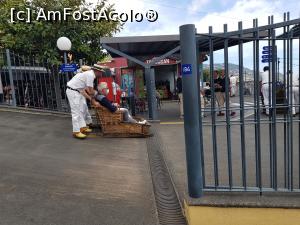 [P09] Cu săniuțele din Madeira - la final » foto by nicole33
 - 
<span class="allrVoted glyphicon glyphicon-heart hidden" id="av1322113"></span>
<a class="m-l-10 hidden" id="sv1322113" onclick="voting_Foto_DelVot(,1322113,4289)" role="button">șterge vot <span class="glyphicon glyphicon-remove"></span></a>
<a id="v91322113" class=" c-red"  onclick="voting_Foto_SetVot(1322113)" role="button"><span class="glyphicon glyphicon-heart-empty"></span> <b>LIKE</b> = Votează poza</a> <img class="hidden"  id="f1322113W9" src="/imagini/loader.gif" border="0" /><span class="AjErrMes hidden" id="e1322113ErM"></span>