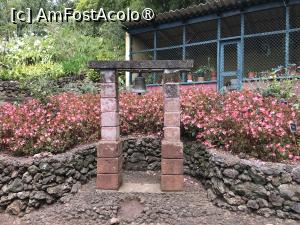 [P11] Grădina botanică din Funchal » foto by nicole33
 - 
<span class="allrVoted glyphicon glyphicon-heart hidden" id="av1497724"></span>
<a class="m-l-10 hidden" id="sv1497724" onclick="voting_Foto_DelVot(,1497724,4289)" role="button">șterge vot <span class="glyphicon glyphicon-remove"></span></a>
<a id="v91497724" class=" c-red"  onclick="voting_Foto_SetVot(1497724)" role="button"><span class="glyphicon glyphicon-heart-empty"></span> <b>LIKE</b> = Votează poza</a> <img class="hidden"  id="f1497724W9" src="/imagini/loader.gif" border="0" /><span class="AjErrMes hidden" id="e1497724ErM"></span>