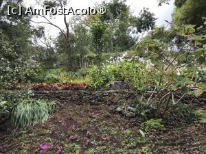 [P36] Grădina botanică din Funchal » foto by nicole33
 - 
<span class="allrVoted glyphicon glyphicon-heart hidden" id="av1497749"></span>
<a class="m-l-10 hidden" id="sv1497749" onclick="voting_Foto_DelVot(,1497749,4289)" role="button">șterge vot <span class="glyphicon glyphicon-remove"></span></a>
<a id="v91497749" class=" c-red"  onclick="voting_Foto_SetVot(1497749)" role="button"><span class="glyphicon glyphicon-heart-empty"></span> <b>LIKE</b> = Votează poza</a> <img class="hidden"  id="f1497749W9" src="/imagini/loader.gif" border="0" /><span class="AjErrMes hidden" id="e1497749ErM"></span>