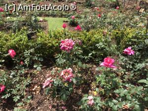 [P43] Grădina botanică din Funchal » foto by nicole33
 - 
<span class="allrVoted glyphicon glyphicon-heart hidden" id="av1497756"></span>
<a class="m-l-10 hidden" id="sv1497756" onclick="voting_Foto_DelVot(,1497756,4289)" role="button">șterge vot <span class="glyphicon glyphicon-remove"></span></a>
<a id="v91497756" class=" c-red"  onclick="voting_Foto_SetVot(1497756)" role="button"><span class="glyphicon glyphicon-heart-empty"></span> <b>LIKE</b> = Votează poza</a> <img class="hidden"  id="f1497756W9" src="/imagini/loader.gif" border="0" /><span class="AjErrMes hidden" id="e1497756ErM"></span>