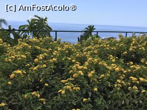 [P48] Grădina botanică din Funchal şi Oceanul » foto by nicole33
 - 
<span class="allrVoted glyphicon glyphicon-heart hidden" id="av1497761"></span>
<a class="m-l-10 hidden" id="sv1497761" onclick="voting_Foto_DelVot(,1497761,4289)" role="button">șterge vot <span class="glyphicon glyphicon-remove"></span></a>
<a id="v91497761" class=" c-red"  onclick="voting_Foto_SetVot(1497761)" role="button"><span class="glyphicon glyphicon-heart-empty"></span> <b>LIKE</b> = Votează poza</a> <img class="hidden"  id="f1497761W9" src="/imagini/loader.gif" border="0" /><span class="AjErrMes hidden" id="e1497761ErM"></span>