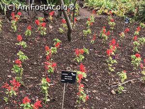 [P58] Grădina botanică din Funchal » foto by nicole33
 - 
<span class="allrVoted glyphicon glyphicon-heart hidden" id="av1497771"></span>
<a class="m-l-10 hidden" id="sv1497771" onclick="voting_Foto_DelVot(,1497771,4289)" role="button">șterge vot <span class="glyphicon glyphicon-remove"></span></a>
<a id="v91497771" class=" c-red"  onclick="voting_Foto_SetVot(1497771)" role="button"><span class="glyphicon glyphicon-heart-empty"></span> <b>LIKE</b> = Votează poza</a> <img class="hidden"  id="f1497771W9" src="/imagini/loader.gif" border="0" /><span class="AjErrMes hidden" id="e1497771ErM"></span>