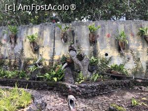 [P08] Grădina botanică din Funchal - ghivece simpatice cu flori » foto by nicole33
 - 
<span class="allrVoted glyphicon glyphicon-heart hidden" id="av1497721"></span>
<a class="m-l-10 hidden" id="sv1497721" onclick="voting_Foto_DelVot(,1497721,4289)" role="button">șterge vot <span class="glyphicon glyphicon-remove"></span></a>
<a id="v91497721" class=" c-red"  onclick="voting_Foto_SetVot(1497721)" role="button"><span class="glyphicon glyphicon-heart-empty"></span> <b>LIKE</b> = Votează poza</a> <img class="hidden"  id="f1497721W9" src="/imagini/loader.gif" border="0" /><span class="AjErrMes hidden" id="e1497721ErM"></span>