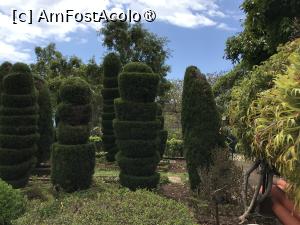 [P81] Grădina botanică din Funchal » foto by nicole33
 - 
<span class="allrVoted glyphicon glyphicon-heart hidden" id="av1497794"></span>
<a class="m-l-10 hidden" id="sv1497794" onclick="voting_Foto_DelVot(,1497794,4289)" role="button">șterge vot <span class="glyphicon glyphicon-remove"></span></a>
<a id="v91497794" class=" c-red"  onclick="voting_Foto_SetVot(1497794)" role="button"><span class="glyphicon glyphicon-heart-empty"></span> <b>LIKE</b> = Votează poza</a> <img class="hidden"  id="f1497794W9" src="/imagini/loader.gif" border="0" /><span class="AjErrMes hidden" id="e1497794ErM"></span>