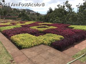 [P88] Grădina botanică din Funchal - covoare de plante » foto by nicole33
 - 
<span class="allrVoted glyphicon glyphicon-heart hidden" id="av1497801"></span>
<a class="m-l-10 hidden" id="sv1497801" onclick="voting_Foto_DelVot(,1497801,4289)" role="button">șterge vot <span class="glyphicon glyphicon-remove"></span></a>
<a id="v91497801" class=" c-red"  onclick="voting_Foto_SetVot(1497801)" role="button"><span class="glyphicon glyphicon-heart-empty"></span> <b>LIKE</b> = Votează poza</a> <img class="hidden"  id="f1497801W9" src="/imagini/loader.gif" border="0" /><span class="AjErrMes hidden" id="e1497801ErM"></span>