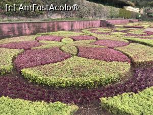 [P89] Grădina botanică din Funchal - covoare de plante » foto by nicole33
 - 
<span class="allrVoted glyphicon glyphicon-heart hidden" id="av1497802"></span>
<a class="m-l-10 hidden" id="sv1497802" onclick="voting_Foto_DelVot(,1497802,4289)" role="button">șterge vot <span class="glyphicon glyphicon-remove"></span></a>
<a id="v91497802" class=" c-red"  onclick="voting_Foto_SetVot(1497802)" role="button"><span class="glyphicon glyphicon-heart-empty"></span> <b>LIKE</b> = Votează poza</a> <img class="hidden"  id="f1497802W9" src="/imagini/loader.gif" border="0" /><span class="AjErrMes hidden" id="e1497802ErM"></span>