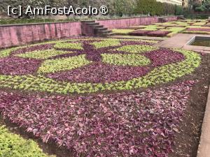 [P90] Grădina botanică din Funchal - covoare de plante » foto by nicole33
 - 
<span class="allrVoted glyphicon glyphicon-heart hidden" id="av1497803"></span>
<a class="m-l-10 hidden" id="sv1497803" onclick="voting_Foto_DelVot(,1497803,4289)" role="button">șterge vot <span class="glyphicon glyphicon-remove"></span></a>
<a id="v91497803" class=" c-red"  onclick="voting_Foto_SetVot(1497803)" role="button"><span class="glyphicon glyphicon-heart-empty"></span> <b>LIKE</b> = Votează poza</a> <img class="hidden"  id="f1497803W9" src="/imagini/loader.gif" border="0" /><span class="AjErrMes hidden" id="e1497803ErM"></span>