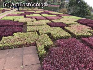 [P91] Grădina botanică din Funchal - covoare de plante » foto by nicole33
 - 
<span class="allrVoted glyphicon glyphicon-heart hidden" id="av1497804"></span>
<a class="m-l-10 hidden" id="sv1497804" onclick="voting_Foto_DelVot(,1497804,4289)" role="button">șterge vot <span class="glyphicon glyphicon-remove"></span></a>
<a id="v91497804" class=" c-red"  onclick="voting_Foto_SetVot(1497804)" role="button"><span class="glyphicon glyphicon-heart-empty"></span> <b>LIKE</b> = Votează poza</a> <img class="hidden"  id="f1497804W9" src="/imagini/loader.gif" border="0" /><span class="AjErrMes hidden" id="e1497804ErM"></span>