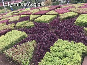 [P92] Grădina botanică din Funchal - covoare de plante » foto by nicole33
 - 
<span class="allrVoted glyphicon glyphicon-heart hidden" id="av1497805"></span>
<a class="m-l-10 hidden" id="sv1497805" onclick="voting_Foto_DelVot(,1497805,4289)" role="button">șterge vot <span class="glyphicon glyphicon-remove"></span></a>
<a id="v91497805" class=" c-red"  onclick="voting_Foto_SetVot(1497805)" role="button"><span class="glyphicon glyphicon-heart-empty"></span> <b>LIKE</b> = Votează poza</a> <img class="hidden"  id="f1497805W9" src="/imagini/loader.gif" border="0" /><span class="AjErrMes hidden" id="e1497805ErM"></span>