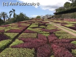 [P93] Grădina botanică din Funchal - covoare de plante » foto by nicole33
 - 
<span class="allrVoted glyphicon glyphicon-heart hidden" id="av1497806"></span>
<a class="m-l-10 hidden" id="sv1497806" onclick="voting_Foto_DelVot(,1497806,4289)" role="button">șterge vot <span class="glyphicon glyphicon-remove"></span></a>
<a id="v91497806" class=" c-red"  onclick="voting_Foto_SetVot(1497806)" role="button"><span class="glyphicon glyphicon-heart-empty"></span> <b>LIKE</b> = Votează poza</a> <img class="hidden"  id="f1497806W9" src="/imagini/loader.gif" border="0" /><span class="AjErrMes hidden" id="e1497806ErM"></span>