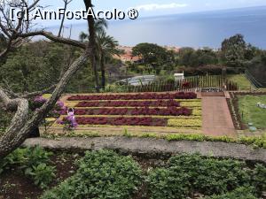 [P94] Grădina botanică din Funchal - covoare de plante » foto by nicole33
 - 
<span class="allrVoted glyphicon glyphicon-heart hidden" id="av1497807"></span>
<a class="m-l-10 hidden" id="sv1497807" onclick="voting_Foto_DelVot(,1497807,4289)" role="button">șterge vot <span class="glyphicon glyphicon-remove"></span></a>
<a id="v91497807" class=" c-red"  onclick="voting_Foto_SetVot(1497807)" role="button"><span class="glyphicon glyphicon-heart-empty"></span> <b>LIKE</b> = Votează poza</a> <img class="hidden"  id="f1497807W9" src="/imagini/loader.gif" border="0" /><span class="AjErrMes hidden" id="e1497807ErM"></span>
