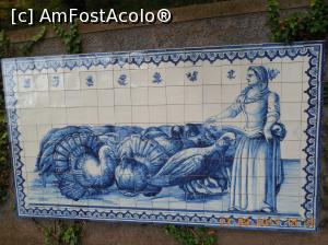 [P37] Azulejo in Jardim Tropical » foto by pmanuela
 - 
<span class="allrVoted glyphicon glyphicon-heart hidden" id="av1009988"></span>
<a class="m-l-10 hidden" id="sv1009988" onclick="voting_Foto_DelVot(,1009988,4289)" role="button">șterge vot <span class="glyphicon glyphicon-remove"></span></a>
<a id="v91009988" class=" c-red"  onclick="voting_Foto_SetVot(1009988)" role="button"><span class="glyphicon glyphicon-heart-empty"></span> <b>LIKE</b> = Votează poza</a> <img class="hidden"  id="f1009988W9" src="/imagini/loader.gif" border="0" /><span class="AjErrMes hidden" id="e1009988ErM"></span>