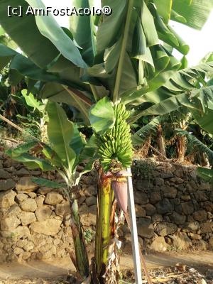 [P60] In fata vilei » foto by pmanuela
 - 
<span class="allrVoted glyphicon glyphicon-heart hidden" id="av1010016"></span>
<a class="m-l-10 hidden" id="sv1010016" onclick="voting_Foto_DelVot(,1010016,4289)" role="button">șterge vot <span class="glyphicon glyphicon-remove"></span></a>
<a id="v91010016" class=" c-red"  onclick="voting_Foto_SetVot(1010016)" role="button"><span class="glyphicon glyphicon-heart-empty"></span> <b>LIKE</b> = Votează poza</a> <img class="hidden"  id="f1010016W9" src="/imagini/loader.gif" border="0" /><span class="AjErrMes hidden" id="e1010016ErM"></span>