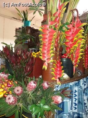 [P61] Mercado dos Lavradores, zona cu flori » foto by pmanuela
 - 
<span class="allrVoted glyphicon glyphicon-heart hidden" id="av1010017"></span>
<a class="m-l-10 hidden" id="sv1010017" onclick="voting_Foto_DelVot(,1010017,4289)" role="button">șterge vot <span class="glyphicon glyphicon-remove"></span></a>
<a id="v91010017" class=" c-red"  onclick="voting_Foto_SetVot(1010017)" role="button"><span class="glyphicon glyphicon-heart-empty"></span> <b>LIKE</b> = Votează poza</a> <img class="hidden"  id="f1010017W9" src="/imagini/loader.gif" border="0" /><span class="AjErrMes hidden" id="e1010017ErM"></span>