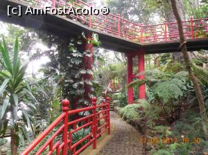 [P11] Gradina tropicala Monte » foto by pmanuela
 - 
<span class="allrVoted glyphicon glyphicon-heart hidden" id="av1137504"></span>
<a class="m-l-10 hidden" id="sv1137504" onclick="voting_Foto_DelVot(,1137504,4289)" role="button">șterge vot <span class="glyphicon glyphicon-remove"></span></a>
<a id="v91137504" class=" c-red"  onclick="voting_Foto_SetVot(1137504)" role="button"><span class="glyphicon glyphicon-heart-empty"></span> <b>LIKE</b> = Votează poza</a> <img class="hidden"  id="f1137504W9" src="/imagini/loader.gif" border="0" /><span class="AjErrMes hidden" id="e1137504ErM"></span>