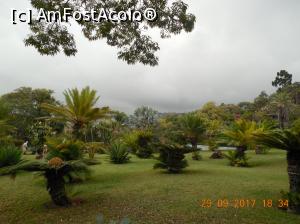 [P16] In gradina botanica » foto by pmanuela
 - 
<span class="allrVoted glyphicon glyphicon-heart hidden" id="av1137509"></span>
<a class="m-l-10 hidden" id="sv1137509" onclick="voting_Foto_DelVot(,1137509,4289)" role="button">șterge vot <span class="glyphicon glyphicon-remove"></span></a>
<a id="v91137509" class=" c-red"  onclick="voting_Foto_SetVot(1137509)" role="button"><span class="glyphicon glyphicon-heart-empty"></span> <b>LIKE</b> = Votează poza</a> <img class="hidden"  id="f1137509W9" src="/imagini/loader.gif" border="0" /><span class="AjErrMes hidden" id="e1137509ErM"></span>