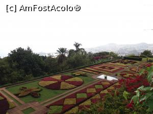 [P32] gradina botanica din Funchal » foto by pmanuela
 - 
<span class="allrVoted glyphicon glyphicon-heart hidden" id="av1137525"></span>
<a class="m-l-10 hidden" id="sv1137525" onclick="voting_Foto_DelVot(,1137525,4289)" role="button">șterge vot <span class="glyphicon glyphicon-remove"></span></a>
<a id="v91137525" class=" c-red"  onclick="voting_Foto_SetVot(1137525)" role="button"><span class="glyphicon glyphicon-heart-empty"></span> <b>LIKE</b> = Votează poza</a> <img class="hidden"  id="f1137525W9" src="/imagini/loader.gif" border="0" /><span class="AjErrMes hidden" id="e1137525ErM"></span>