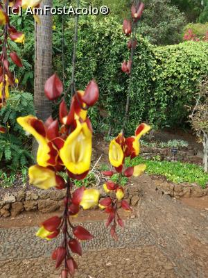 [P40] in gradina botanica » foto by pmanuela
 - 
<span class="allrVoted glyphicon glyphicon-heart hidden" id="av1137533"></span>
<a class="m-l-10 hidden" id="sv1137533" onclick="voting_Foto_DelVot(,1137533,4289)" role="button">șterge vot <span class="glyphicon glyphicon-remove"></span></a>
<a id="v91137533" class=" c-red"  onclick="voting_Foto_SetVot(1137533)" role="button"><span class="glyphicon glyphicon-heart-empty"></span> <b>LIKE</b> = Votează poza</a> <img class="hidden"  id="f1137533W9" src="/imagini/loader.gif" border="0" /><span class="AjErrMes hidden" id="e1137533ErM"></span>