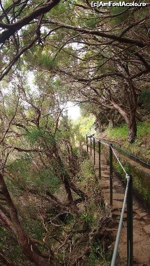 [P05] Ribacao/25 Fontes » foto by yarine
 - 
<span class="allrVoted glyphicon glyphicon-heart hidden" id="av629957"></span>
<a class="m-l-10 hidden" id="sv629957" onclick="voting_Foto_DelVot(,629957,4289)" role="button">șterge vot <span class="glyphicon glyphicon-remove"></span></a>
<a id="v9629957" class=" c-red"  onclick="voting_Foto_SetVot(629957)" role="button"><span class="glyphicon glyphicon-heart-empty"></span> <b>LIKE</b> = Votează poza</a> <img class="hidden"  id="f629957W9" src="/imagini/loader.gif" border="0" /><span class="AjErrMes hidden" id="e629957ErM"></span>