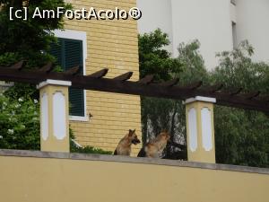 [P29] nu, nu sunt statui » foto by robert
 - 
<span class="allrVoted glyphicon glyphicon-heart hidden" id="av994003"></span>
<a class="m-l-10 hidden" id="sv994003" onclick="voting_Foto_DelVot(,994003,4289)" role="button">șterge vot <span class="glyphicon glyphicon-remove"></span></a>
<a id="v9994003" class=" c-red"  onclick="voting_Foto_SetVot(994003)" role="button"><span class="glyphicon glyphicon-heart-empty"></span> <b>LIKE</b> = Votează poza</a> <img class="hidden"  id="f994003W9" src="/imagini/loader.gif" border="0" /><span class="AjErrMes hidden" id="e994003ErM"></span>