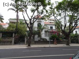 [P35] la pas prin Funchal » foto by robert
 - 
<span class="allrVoted glyphicon glyphicon-heart hidden" id="av994012"></span>
<a class="m-l-10 hidden" id="sv994012" onclick="voting_Foto_DelVot(,994012,4289)" role="button">șterge vot <span class="glyphicon glyphicon-remove"></span></a>
<a id="v9994012" class=" c-red"  onclick="voting_Foto_SetVot(994012)" role="button"><span class="glyphicon glyphicon-heart-empty"></span> <b>LIKE</b> = Votează poza</a> <img class="hidden"  id="f994012W9" src="/imagini/loader.gif" border="0" /><span class="AjErrMes hidden" id="e994012ErM"></span>