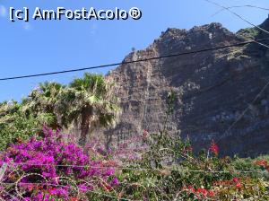 [P19] și totusi nu puteau lipsi florile » foto by robert
 - 
<span class="allrVoted glyphicon glyphicon-heart hidden" id="av995824"></span>
<a class="m-l-10 hidden" id="sv995824" onclick="voting_Foto_DelVot(,995824,4289)" role="button">șterge vot <span class="glyphicon glyphicon-remove"></span></a>
<a id="v9995824" class=" c-red"  onclick="voting_Foto_SetVot(995824)" role="button"><span class="glyphicon glyphicon-heart-empty"></span> <b>LIKE</b> = Votează poza</a> <img class="hidden"  id="f995824W9" src="/imagini/loader.gif" border="0" /><span class="AjErrMes hidden" id="e995824ErM"></span>