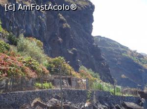 [P20] livada tropicală este bine împrejmuită, din păcate » foto by robert
 - 
<span class="allrVoted glyphicon glyphicon-heart hidden" id="av995825"></span>
<a class="m-l-10 hidden" id="sv995825" onclick="voting_Foto_DelVot(,995825,4289)" role="button">șterge vot <span class="glyphicon glyphicon-remove"></span></a>
<a id="v9995825" class=" c-red"  onclick="voting_Foto_SetVot(995825)" role="button"><span class="glyphicon glyphicon-heart-empty"></span> <b>LIKE</b> = Votează poza</a> <img class="hidden"  id="f995825W9" src="/imagini/loader.gif" border="0" /><span class="AjErrMes hidden" id="e995825ErM"></span>