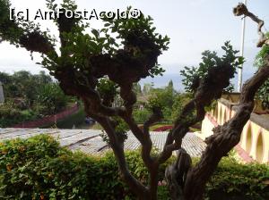 [P24] Grădina Botanică » foto by robert
 - 
<span class="allrVoted glyphicon glyphicon-heart hidden" id="av995829"></span>
<a class="m-l-10 hidden" id="sv995829" onclick="voting_Foto_DelVot(,995829,4289)" role="button">șterge vot <span class="glyphicon glyphicon-remove"></span></a>
<a id="v9995829" class=" c-red"  onclick="voting_Foto_SetVot(995829)" role="button"><span class="glyphicon glyphicon-heart-empty"></span> <b>LIKE</b> = Votează poza</a> <img class="hidden"  id="f995829W9" src="/imagini/loader.gif" border="0" /><span class="AjErrMes hidden" id="e995829ErM"></span>