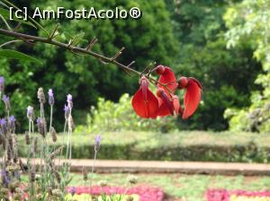 [P25] Grădina Botanică » foto by robert
 - 
<span class="allrVoted glyphicon glyphicon-heart hidden" id="av995830"></span>
<a class="m-l-10 hidden" id="sv995830" onclick="voting_Foto_DelVot(,995830,4289)" role="button">șterge vot <span class="glyphicon glyphicon-remove"></span></a>
<a id="v9995830" class=" c-red"  onclick="voting_Foto_SetVot(995830)" role="button"><span class="glyphicon glyphicon-heart-empty"></span> <b>LIKE</b> = Votează poza</a> <img class="hidden"  id="f995830W9" src="/imagini/loader.gif" border="0" /><span class="AjErrMes hidden" id="e995830ErM"></span>