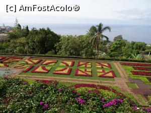 [P26] Grădina Botanică » foto by robert
 - 
<span class="allrVoted glyphicon glyphicon-heart hidden" id="av995831"></span>
<a class="m-l-10 hidden" id="sv995831" onclick="voting_Foto_DelVot(,995831,4289)" role="button">șterge vot <span class="glyphicon glyphicon-remove"></span></a>
<a id="v9995831" class=" c-red"  onclick="voting_Foto_SetVot(995831)" role="button"><span class="glyphicon glyphicon-heart-empty"></span> <b>LIKE</b> = Votează poza</a> <img class="hidden"  id="f995831W9" src="/imagini/loader.gif" border="0" /><span class="AjErrMes hidden" id="e995831ErM"></span>