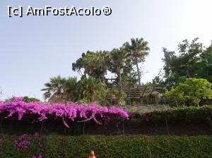 [P32] Grădina Botanică » foto by robert
 - 
<span class="allrVoted glyphicon glyphicon-heart hidden" id="av995837"></span>
<a class="m-l-10 hidden" id="sv995837" onclick="voting_Foto_DelVot(,995837,4289)" role="button">șterge vot <span class="glyphicon glyphicon-remove"></span></a>
<a id="v9995837" class=" c-red"  onclick="voting_Foto_SetVot(995837)" role="button"><span class="glyphicon glyphicon-heart-empty"></span> <b>LIKE</b> = Votează poza</a> <img class="hidden"  id="f995837W9" src="/imagini/loader.gif" border="0" /><span class="AjErrMes hidden" id="e995837ErM"></span>