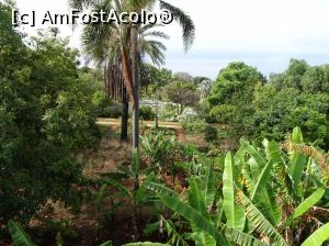 [P33] Grădina Botanică » foto by robert
 - 
<span class="allrVoted glyphicon glyphicon-heart hidden" id="av995838"></span>
<a class="m-l-10 hidden" id="sv995838" onclick="voting_Foto_DelVot(,995838,4289)" role="button">șterge vot <span class="glyphicon glyphicon-remove"></span></a>
<a id="v9995838" class=" c-red"  onclick="voting_Foto_SetVot(995838)" role="button"><span class="glyphicon glyphicon-heart-empty"></span> <b>LIKE</b> = Votează poza</a> <img class="hidden"  id="f995838W9" src="/imagini/loader.gif" border="0" /><span class="AjErrMes hidden" id="e995838ErM"></span>