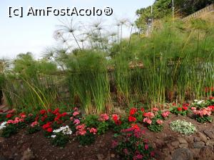 [P34] Grădina Botanică » foto by robert
 - 
<span class="allrVoted glyphicon glyphicon-heart hidden" id="av995839"></span>
<a class="m-l-10 hidden" id="sv995839" onclick="voting_Foto_DelVot(,995839,4289)" role="button">șterge vot <span class="glyphicon glyphicon-remove"></span></a>
<a id="v9995839" class=" c-red"  onclick="voting_Foto_SetVot(995839)" role="button"><span class="glyphicon glyphicon-heart-empty"></span> <b>LIKE</b> = Votează poza</a> <img class="hidden"  id="f995839W9" src="/imagini/loader.gif" border="0" /><span class="AjErrMes hidden" id="e995839ErM"></span>
