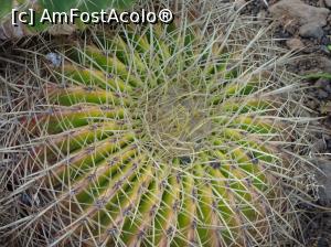 [P35] Grădina Botanică » foto by robert
 - 
<span class="allrVoted glyphicon glyphicon-heart hidden" id="av995840"></span>
<a class="m-l-10 hidden" id="sv995840" onclick="voting_Foto_DelVot(,995840,4289)" role="button">șterge vot <span class="glyphicon glyphicon-remove"></span></a>
<a id="v9995840" class=" c-red"  onclick="voting_Foto_SetVot(995840)" role="button"><span class="glyphicon glyphicon-heart-empty"></span> <b>LIKE</b> = Votează poza</a> <img class="hidden"  id="f995840W9" src="/imagini/loader.gif" border="0" /><span class="AjErrMes hidden" id="e995840ErM"></span>