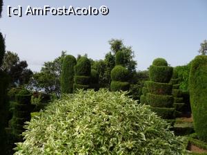 [P41] Grădina Botanică » foto by robert
 - 
<span class="allrVoted glyphicon glyphicon-heart hidden" id="av995846"></span>
<a class="m-l-10 hidden" id="sv995846" onclick="voting_Foto_DelVot(,995846,4289)" role="button">șterge vot <span class="glyphicon glyphicon-remove"></span></a>
<a id="v9995846" class=" c-red"  onclick="voting_Foto_SetVot(995846)" role="button"><span class="glyphicon glyphicon-heart-empty"></span> <b>LIKE</b> = Votează poza</a> <img class="hidden"  id="f995846W9" src="/imagini/loader.gif" border="0" /><span class="AjErrMes hidden" id="e995846ErM"></span>