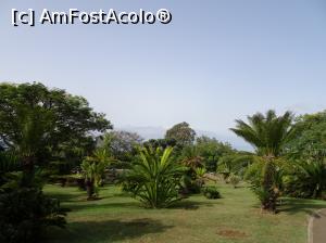 [P42] Grădina Botanică » foto by robert
 - 
<span class="allrVoted glyphicon glyphicon-heart hidden" id="av995847"></span>
<a class="m-l-10 hidden" id="sv995847" onclick="voting_Foto_DelVot(,995847,4289)" role="button">șterge vot <span class="glyphicon glyphicon-remove"></span></a>
<a id="v9995847" class=" c-red"  onclick="voting_Foto_SetVot(995847)" role="button"><span class="glyphicon glyphicon-heart-empty"></span> <b>LIKE</b> = Votează poza</a> <img class="hidden"  id="f995847W9" src="/imagini/loader.gif" border="0" /><span class="AjErrMes hidden" id="e995847ErM"></span>