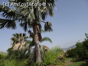 [P43] Grădina Botanică » foto by robert
 - 
<span class="allrVoted glyphicon glyphicon-heart hidden" id="av995848"></span>
<a class="m-l-10 hidden" id="sv995848" onclick="voting_Foto_DelVot(,995848,4289)" role="button">șterge vot <span class="glyphicon glyphicon-remove"></span></a>
<a id="v9995848" class=" c-red"  onclick="voting_Foto_SetVot(995848)" role="button"><span class="glyphicon glyphicon-heart-empty"></span> <b>LIKE</b> = Votează poza</a> <img class="hidden"  id="f995848W9" src="/imagini/loader.gif" border="0" /><span class="AjErrMes hidden" id="e995848ErM"></span>