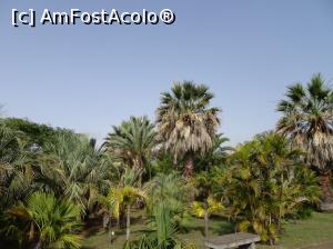 [P44] Grădina Botanică » foto by robert
 - 
<span class="allrVoted glyphicon glyphicon-heart hidden" id="av995849"></span>
<a class="m-l-10 hidden" id="sv995849" onclick="voting_Foto_DelVot(,995849,4289)" role="button">șterge vot <span class="glyphicon glyphicon-remove"></span></a>
<a id="v9995849" class=" c-red"  onclick="voting_Foto_SetVot(995849)" role="button"><span class="glyphicon glyphicon-heart-empty"></span> <b>LIKE</b> = Votează poza</a> <img class="hidden"  id="f995849W9" src="/imagini/loader.gif" border="0" /><span class="AjErrMes hidden" id="e995849ErM"></span>