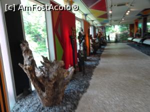 [P51] prin muzeul de artă africană » foto by robert
 - 
<span class="allrVoted glyphicon glyphicon-heart hidden" id="av995856"></span>
<a class="m-l-10 hidden" id="sv995856" onclick="voting_Foto_DelVot(,995856,4289)" role="button">șterge vot <span class="glyphicon glyphicon-remove"></span></a>
<a id="v9995856" class=" c-red"  onclick="voting_Foto_SetVot(995856)" role="button"><span class="glyphicon glyphicon-heart-empty"></span> <b>LIKE</b> = Votează poza</a> <img class="hidden"  id="f995856W9" src="/imagini/loader.gif" border="0" /><span class="AjErrMes hidden" id="e995856ErM"></span>