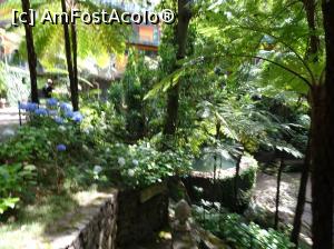 [P54] grădina tropicală » foto by robert
 - 
<span class="allrVoted glyphicon glyphicon-heart hidden" id="av995859"></span>
<a class="m-l-10 hidden" id="sv995859" onclick="voting_Foto_DelVot(,995859,4289)" role="button">șterge vot <span class="glyphicon glyphicon-remove"></span></a>
<a id="v9995859" class=" c-red"  onclick="voting_Foto_SetVot(995859)" role="button"><span class="glyphicon glyphicon-heart-empty"></span> <b>LIKE</b> = Votează poza</a> <img class="hidden"  id="f995859W9" src="/imagini/loader.gif" border="0" /><span class="AjErrMes hidden" id="e995859ErM"></span>