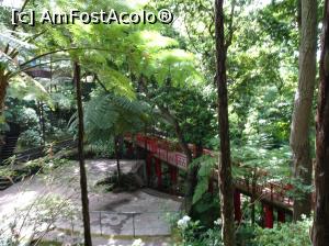 [P55] grădina japoneză » foto by robert
 - 
<span class="allrVoted glyphicon glyphicon-heart hidden" id="av995860"></span>
<a class="m-l-10 hidden" id="sv995860" onclick="voting_Foto_DelVot(,995860,4289)" role="button">șterge vot <span class="glyphicon glyphicon-remove"></span></a>
<a id="v9995860" class=" c-red"  onclick="voting_Foto_SetVot(995860)" role="button"><span class="glyphicon glyphicon-heart-empty"></span> <b>LIKE</b> = Votează poza</a> <img class="hidden"  id="f995860W9" src="/imagini/loader.gif" border="0" /><span class="AjErrMes hidden" id="e995860ErM"></span>