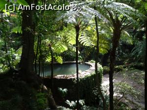 [P56] grădina japoneză » foto by robert
 - 
<span class="allrVoted glyphicon glyphicon-heart hidden" id="av995861"></span>
<a class="m-l-10 hidden" id="sv995861" onclick="voting_Foto_DelVot(,995861,4289)" role="button">șterge vot <span class="glyphicon glyphicon-remove"></span></a>
<a id="v9995861" class=" c-red"  onclick="voting_Foto_SetVot(995861)" role="button"><span class="glyphicon glyphicon-heart-empty"></span> <b>LIKE</b> = Votează poza</a> <img class="hidden"  id="f995861W9" src="/imagini/loader.gif" border="0" /><span class="AjErrMes hidden" id="e995861ErM"></span>