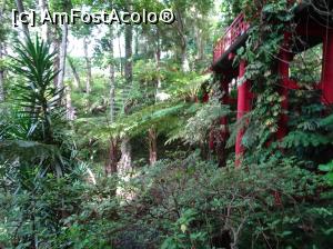 [P59] grădina japoneză » foto by robert
 - 
<span class="allrVoted glyphicon glyphicon-heart hidden" id="av995864"></span>
<a class="m-l-10 hidden" id="sv995864" onclick="voting_Foto_DelVot(,995864,4289)" role="button">șterge vot <span class="glyphicon glyphicon-remove"></span></a>
<a id="v9995864" class=" c-red"  onclick="voting_Foto_SetVot(995864)" role="button"><span class="glyphicon glyphicon-heart-empty"></span> <b>LIKE</b> = Votează poza</a> <img class="hidden"  id="f995864W9" src="/imagini/loader.gif" border="0" /><span class="AjErrMes hidden" id="e995864ErM"></span>